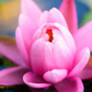 Meet your Posher, Lara